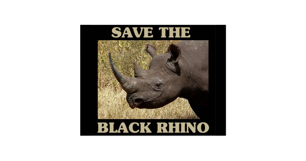 Save the Black Rhino Postcard | Zazzle