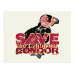 Save the California Condor Postcard