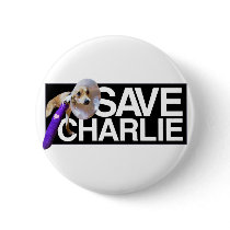 Save the Charles! Pins