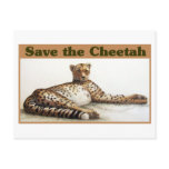 Save the Cheetah Postcard
