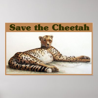 Save The Cheetah