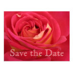 Save the date 100th Birthday Celebration - Post Card