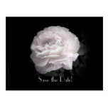 Save the Date 80th Birthday Celebration Postcard