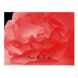 Save the Date 90th Birthday Celebration Postcard