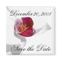 Save the Date Announcement Orchid Magnet by WeddingCentre Save the Date Announcement Orchid Magnet