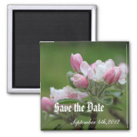 save the date, apple flowers fridge magnets