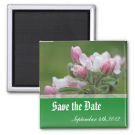 save the date, apple flowers refrigerator magnet