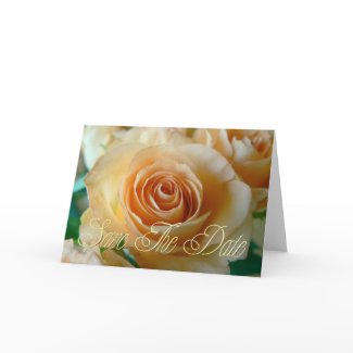 SAVE THE DATE - APRICOT ROSE CARD card