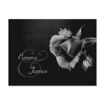 Save the Date Black and White Rose Postcard