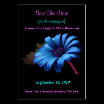 Save The Date Blue Grey Green Daisy business cards