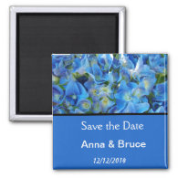 save the date, blue hydrangea flowers magnet