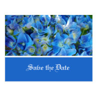 save the date, blue hydrangea flowers postcard
