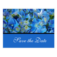 save the date, blue hydrangea flowers postcards