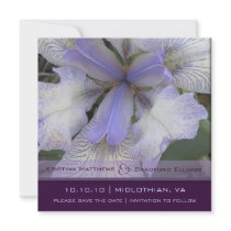 Save the Date Blue Iris 5x5 invitations by elizdesigns Save the Date Blue Iris 5x5 invitations