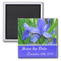 Save the date, blue iris flowers. fridge magnets