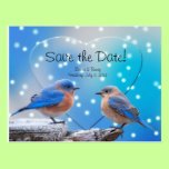 Save the Date Bluebirds postcards