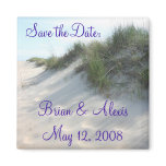 Save the Date:, Brian & AlexisMay 12, 2008
