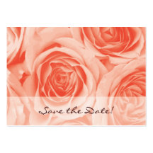 Save the Date Business Card peach Roses