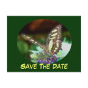 Save The Date Butterfly On Flower Postcard postcard
