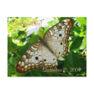Save the Date Butterfly on Jasmine Postcard postcard