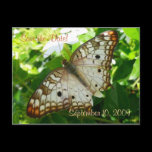 Save the Date Butterfly on Jasmine Postcard