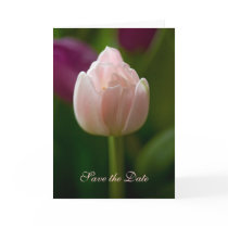 Save the Date Card