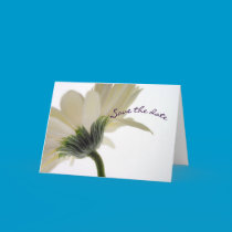 Save the date card with White Gerbera Daisy