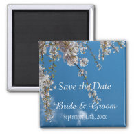 Save the date, cherry blossom branches in blue sky refrigerator magnets