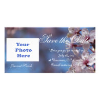 save the date, cherry blossom personalized photo card