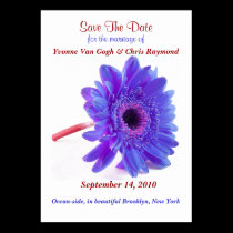 Save The Date Daisy Blue Purple business cards