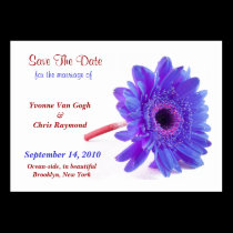 Save The Date Daisy Blue Purple I business cards