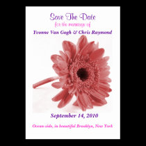 Save The Date Daisy Dusty Rose business cards