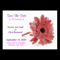 Save The Date Daisy Dusty Rose I business cards