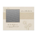 Save the Date - Daisy Flower Postcard by AJsGraphics Save the Date - Daisy Flower Postcard