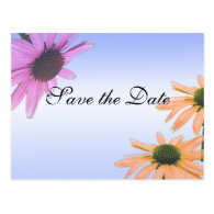 save the date,daisy flowers post cards