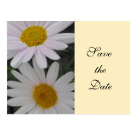 save the date,daisy flowers postcards