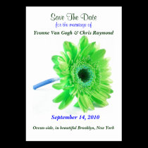 Save The Date Daisy Green Blue business cards