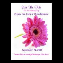 Save The Date Daisy Pink business cards