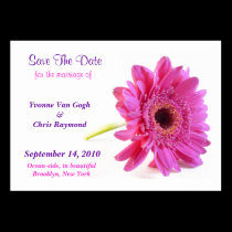 Save The Date Daisy Pink I business cards