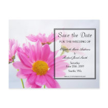 Save the Date Daisy Postcard