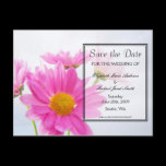 Save the Date Daisy Postcard