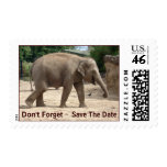 Save The Date - Elephants Never Forget Stamp