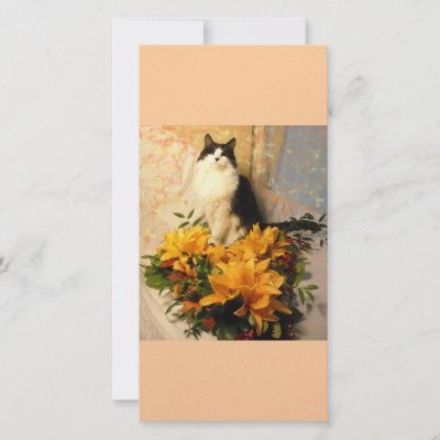 Save the Date/Fall Wedding Flowers photo cards
