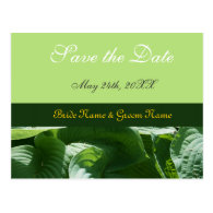 save the date, fresh green leaves post cards