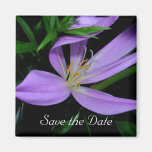 Save the Date Fridge Magnet