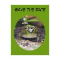 Save The Date Frog Animal Nature Photo Postcard postcard