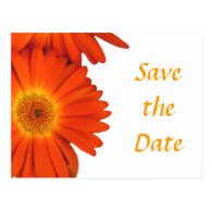 save the date, gerbera daisy flowers postcard