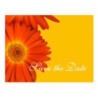 save the date, gerbera daisy flowers postcards