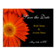 save the date,gerbera daisy post cards