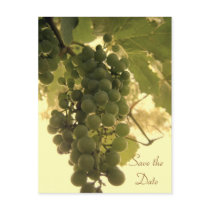 Save the Date Green Grapes Postcard